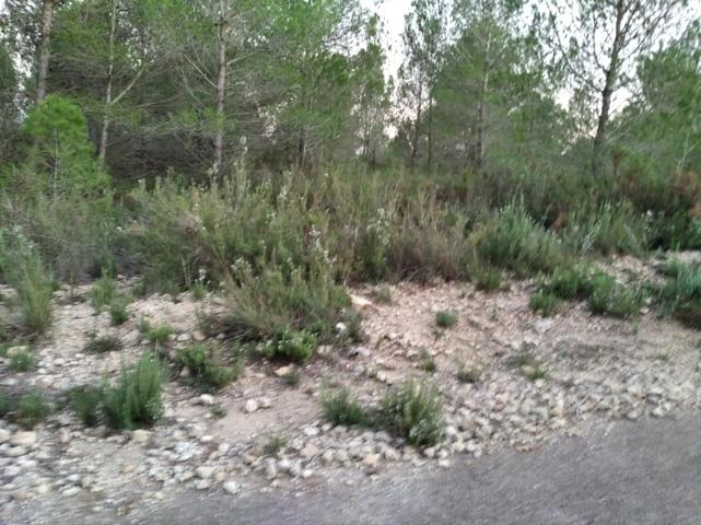 FINCA RUSTICA EN TORRE ENDOMENECH photo 0