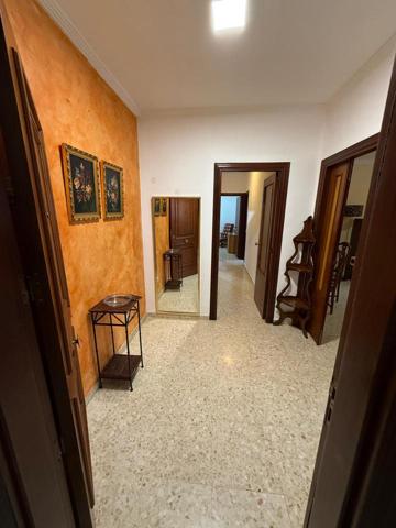 MÁLAGA-TEATINOS photo 0