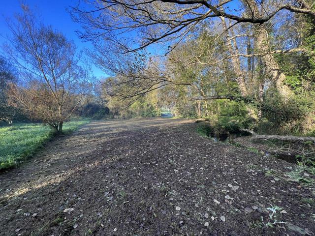 Finca rustica en venta en Pillarno, Castrillon photo 0