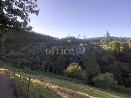 MONTE EN VENTA PILLARNO CASTRILLON photo 0