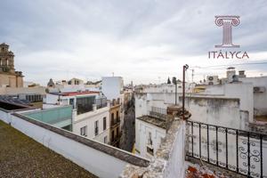 Casa típica Sevillana en el centro de la ciudad photo 0