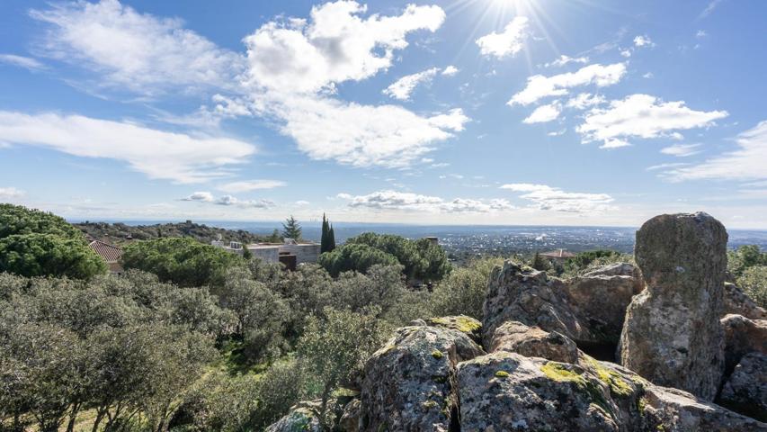 ^**^EN VENTA MAGNÍFICA PARCELA EN TORRELODONES CON UN GRAN PROYECTO DE ARQUITECTURA DE VANGUARDIA^** photo 0