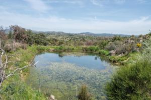 FINCA RÚSTICA EXCEPCIONAL A 1 HORA DE MADRID – NATURALEZA, ENCANTO Y POTENCIAL EN ALMOROX Se venden photo 0