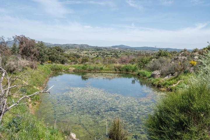 FINCA RÚSTICA EXCEPCIONAL A 1 HORA DE MADRID – NATURALEZA, ENCANTO Y POTENCIAL EN ALMOROX Se venden photo 0