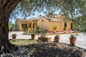 ^^ EN VENTA EXCLUSIVA – IMPRESIONANTE FINCA DE 4 HECTÁREAS EN VALGRANDE, CHINCHÓN ^**^ Ponemos a la photo 0