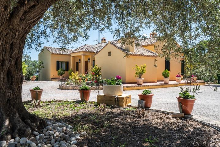 ^^ EN VENTA EXCLUSIVA – IMPRESIONANTE FINCA DE 4 HECTÁREAS EN VALGRANDE, CHINCHÓN ^**^ Ponemos a la photo 0