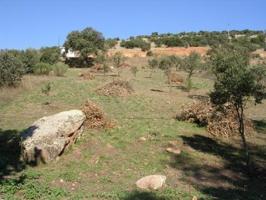 Terreno para construir, en una bonita urbanización de Navahermosa photo 0