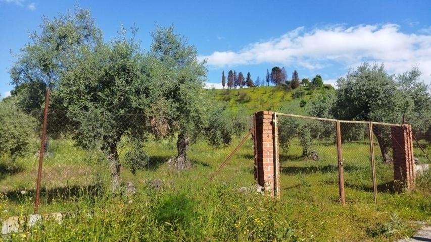 Parcela rústica con chalet independiente y vistas únicas – Las Herencias, Toledo photo 0