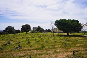 Terreno Urbanizable En venta en Castilla Y Leon, Topas photo 0