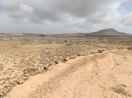 Parcela Agrícola de 3.633 m² en Lajares (Finca Rosa Vieja) photo 0