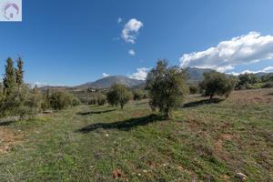 Terreno rústico en Cogollos Vega, con toma de luz y agua en la entrada photo 0