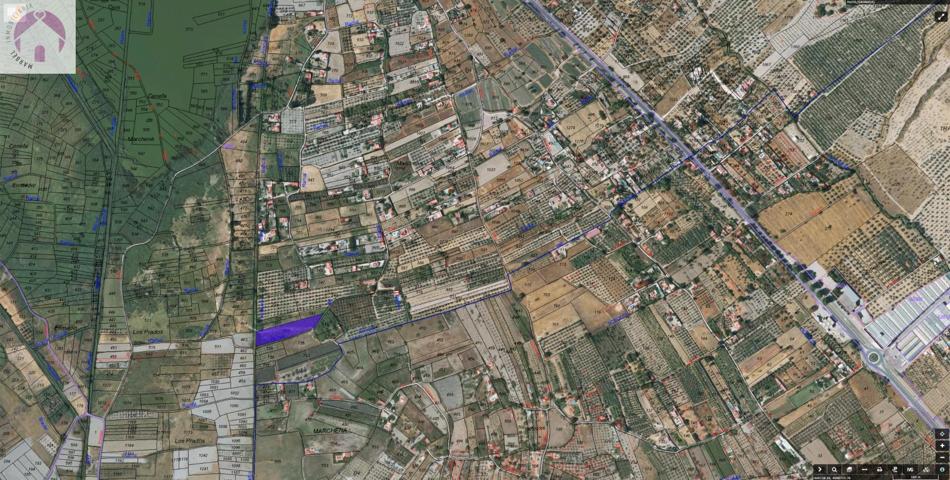 Oportunidad de finca en Marchena photo 0