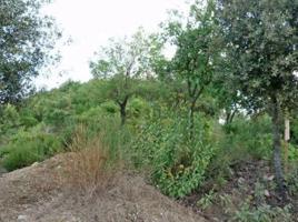 Agrícola En venta en Sant Cugat del Vallès photo 0