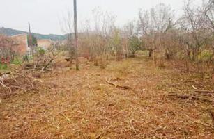 TERRENO EN VENTA EN ANGLES, GERONA photo 0