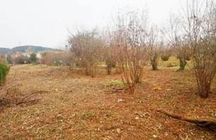 TERRENO EN VENTA EN ANGLES, GERONA photo 0