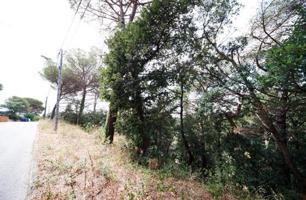 Terreno en venta en calle Junta De Compensación, Maçanet De La Selva photo 0