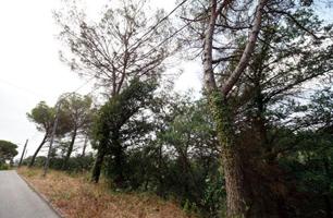 Terreno en venta en calle Junta De Compensación, Maçanet De La Selva photo 0