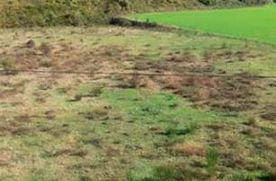Terreno en venta Santa Pau, Gerona photo 0