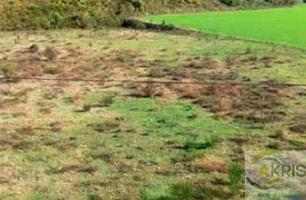 Terreno en venta Santa Pau, Gerona photo 0