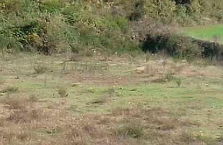 Terreno en venta Santa Pau, Gerona photo 0