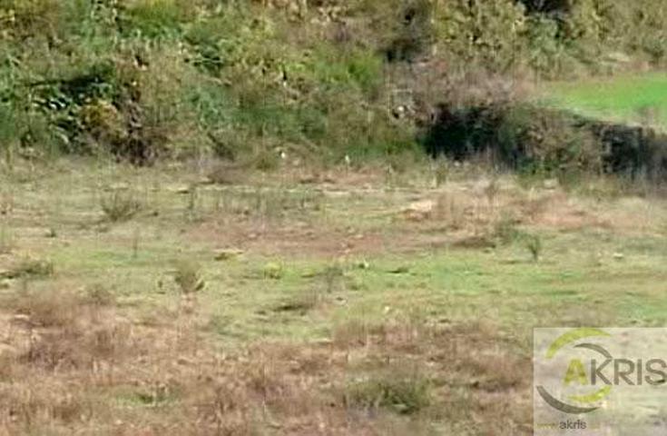 Terreno en venta Santa Pau, Gerona photo 0