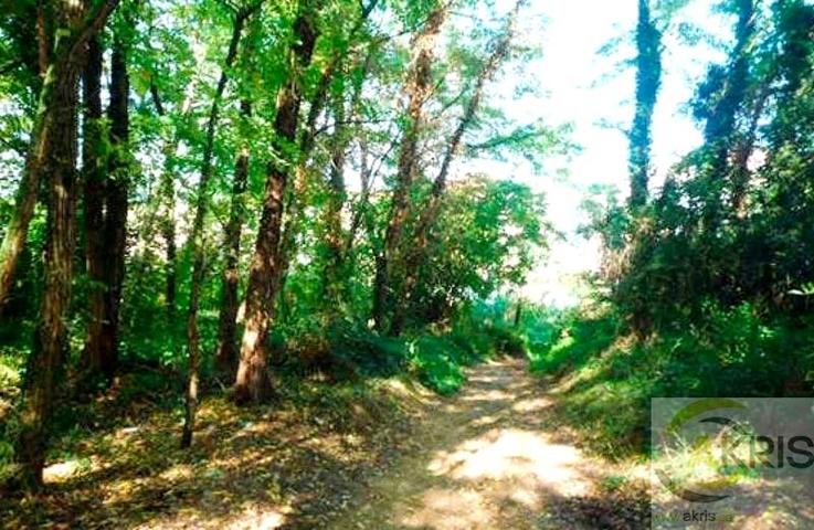 SUELO EN VENTA EN ANGLES, GERONA photo 0