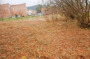 Terreno en venta en Anglés photo 0
