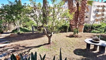 Apartamento con grande jardin privado!!! photo 0