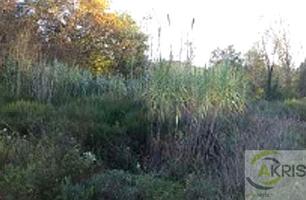 TERRENO EN VENTA EN VIDRERES, GERONA photo 0