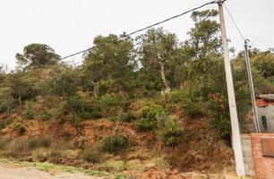 PARCELA EN TORDERA, BARCELONA photo 0