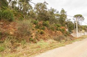 PARCELA EN TORDERA, BARCELONA photo 0