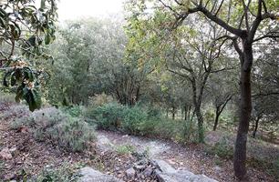 Terreno en venta en CALDES DE MONTBUI de 1048 m2 photo 0