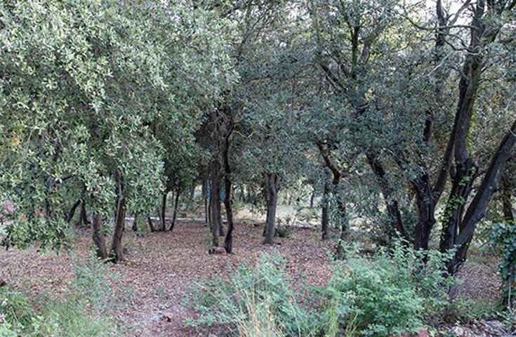Terreno en venta en CALDES DE MONTBUI de 1048 m2 photo 0