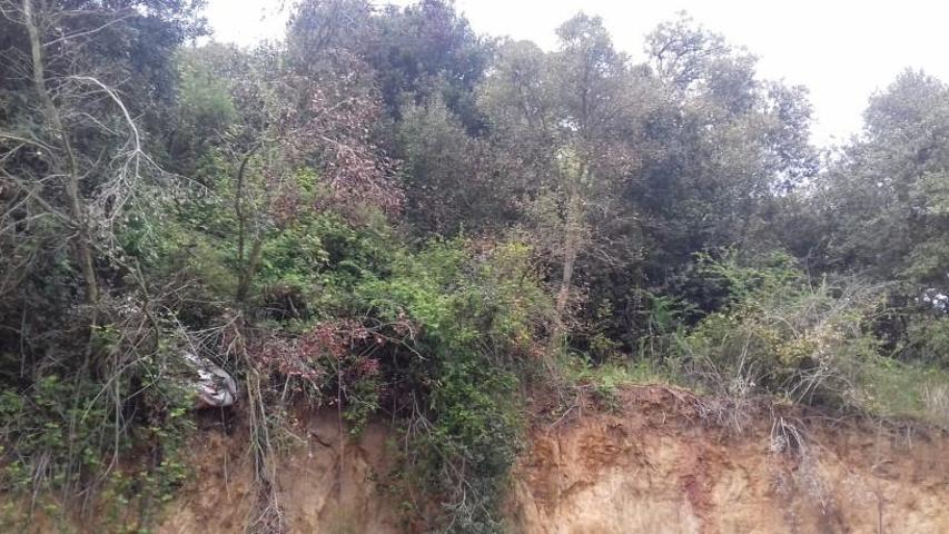 SUELO EN VENTA EN VALLGORGUINA, BARCELONA photo 0