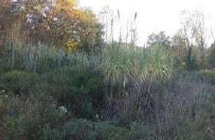 SUELO EN VENTA EN SILS, GERONA photo 0