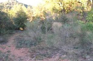 2 SUELOS URBANIZABLES photo 0