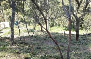 SUELO EN VENTA EN MAÇANET DE LA SELVA, GERONA photo 0