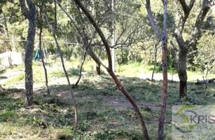 SUELO EN VENTA EN MAÇANET DE LA SELVA photo 0