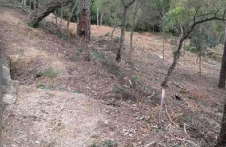 SUELO EN VENTA EN SANTA CRISTINA DE ARO, GIRONA photo 0