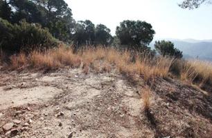 ESTUPENDA PARCELA EN VENTA EN VILANOVA DEL VALLES photo 0