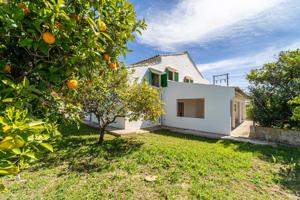 GRAN FINCA RÚSTICA CON 2 GRANDES CASAS Y PISCINA, MOSCARI photo 0