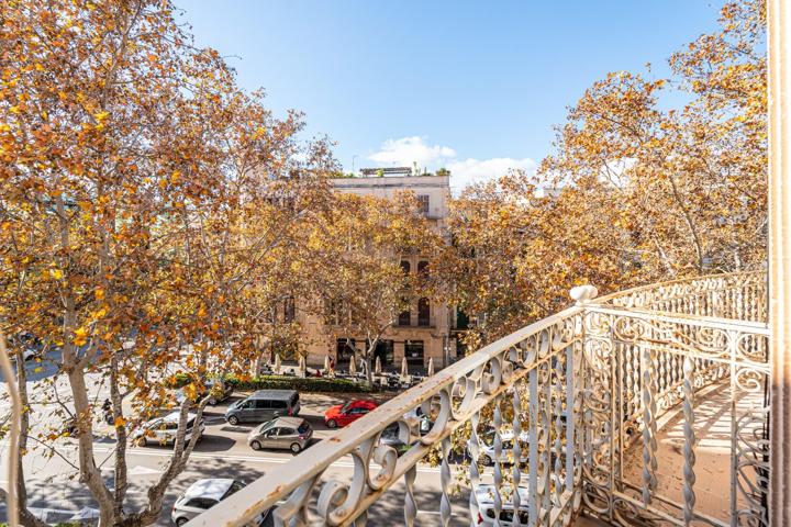 Amplia y Luminosa Vivienda en Edificio Histórico del Centro de Palma photo 0
