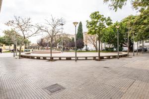 Local comercial con múltiples posibilidades en Son Gotleu photo 0