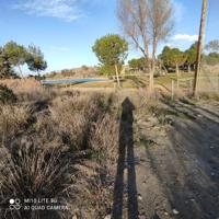 Campo de Golf photo 0