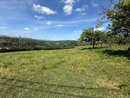 Terreno en alquiler en San Claudio-Trubia-Las Caldas photo 0