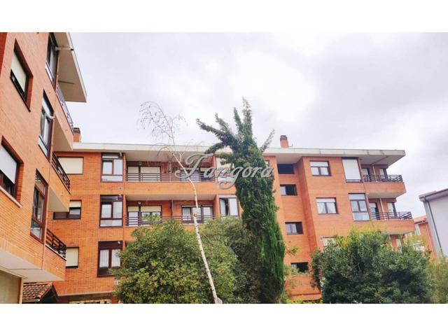 Precioso piso lleno de luz en Berango photo 0