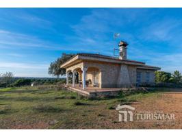 AYAMONTE CAMPO photo 0