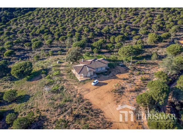 AYAMONTE CAMPO photo 0