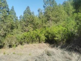 Venta de terreno en San José de los Llanos, Montaña Tomaseche. photo 0