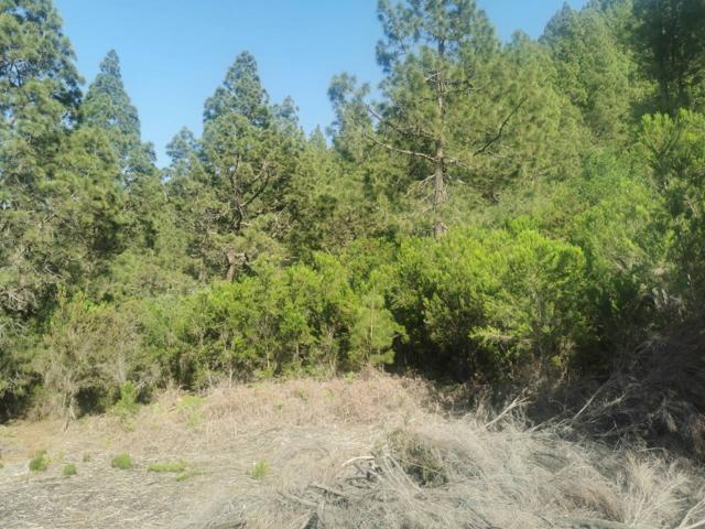 Venta de terreno en San José de los Llanos, Montaña Tomaseche. photo 0